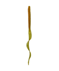Boosa Ribbon Tail